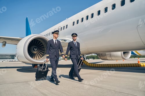 Preview: Elegant young airmen with their luggage outdoors