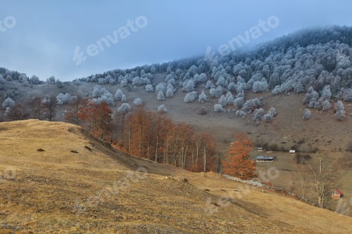 Preview: autumn forest