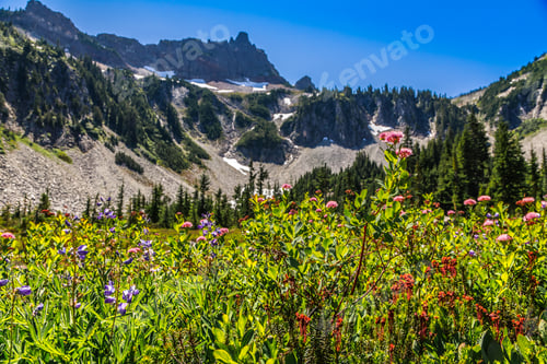 Preview: Crystal Clear Snow Lake Views In Mt Rainier National Park, Washington