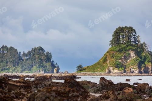 Preview: Olympic coast