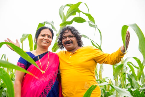Preview: Happy Indian couple in sorghum crop field, India.