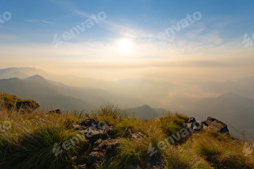 Preview: Forest trees and green mountain hills. Nature landscape background.