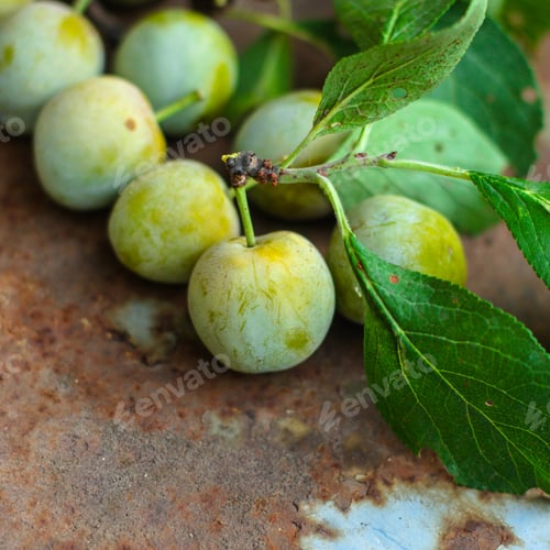 Preview: Plum (Sweet Fruits, New Harvest, Vitamins). Top Food Background. Copy Space