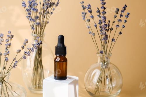 Preview: Essential Oil with Lavender Flowers on White Cube