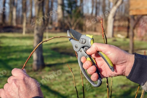 Preview: Gardening work in spring time