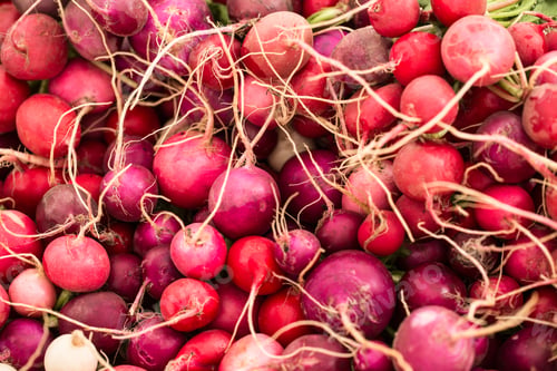 Preview: Pile Of Red And Purple Radishes On A Table At The Farmers Market In Knoxville Tennessee