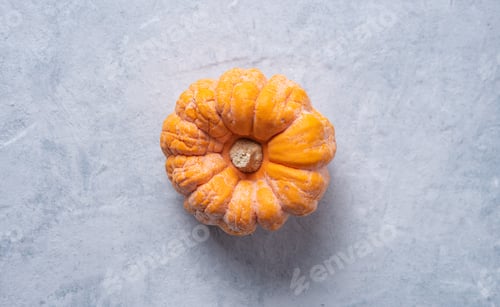 Preview: a mini orange ugly rotten pumpkin on a blue gray background