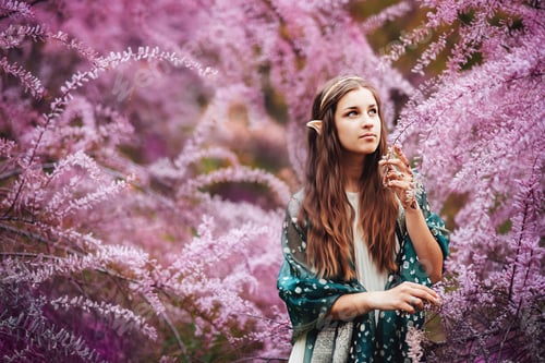 Preview: fairy tale girl. Portrai of mystic elf woman