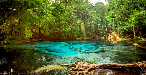 Preview: Sra Morakot Blue Pool at Krabi Province, Thailand