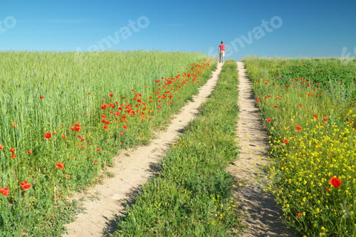 Preview: Man walking away