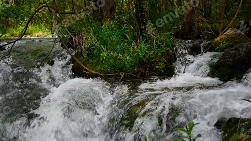 Preview: Full-flowing river in a green sunny forest.