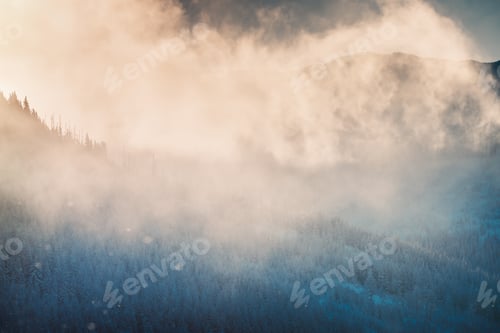 Preview: Beautiful winter landscape