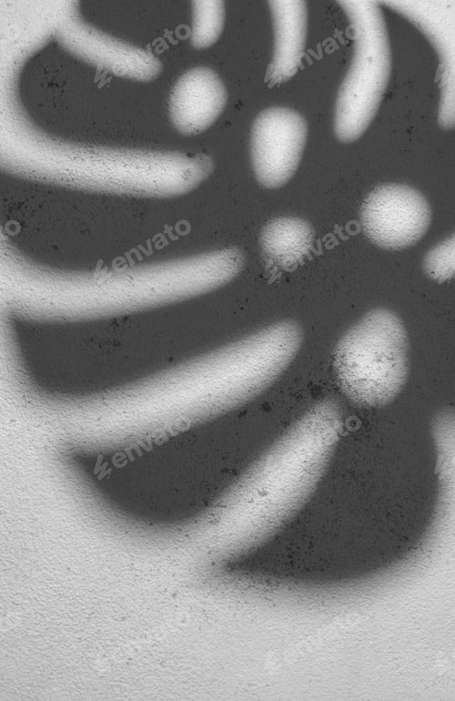 Preview: Shadows from monstera leaves