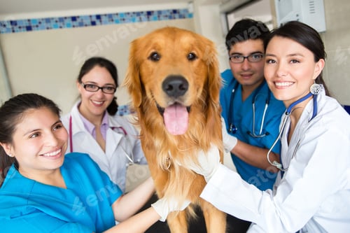 Preview: Group Of Doctors At The Vet With A Cute Dog
