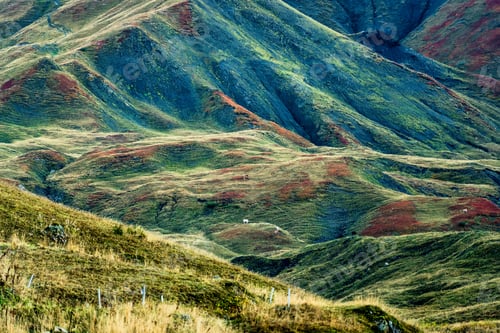 Preview: Landscape of rugged texture rocky mountain and herd of cow on pasture at rural scene