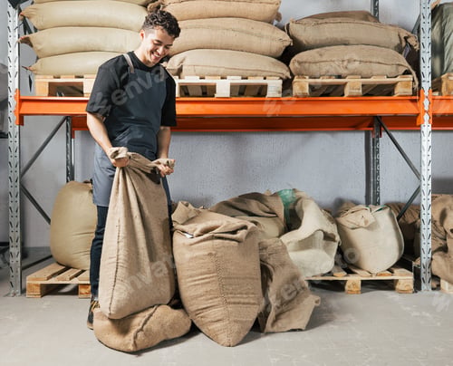 Preview: Blue-collar worker managing bag at shelves in a warehouse