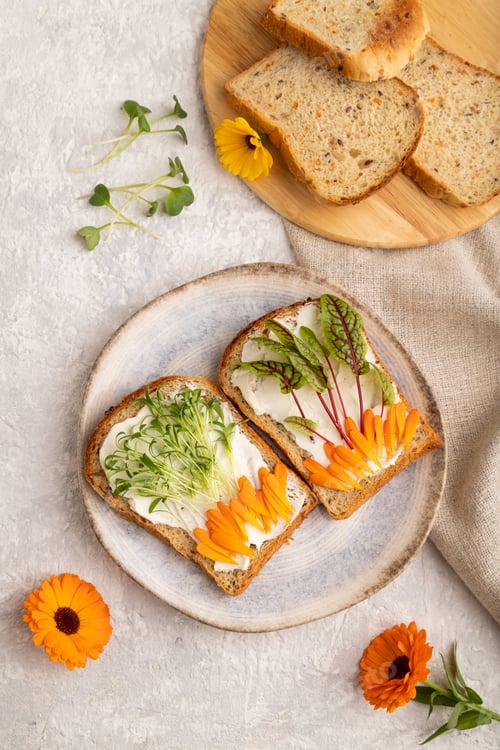Preview: White bread sandwiches with cream cheese, calendula petals and microgreen on gray concrete