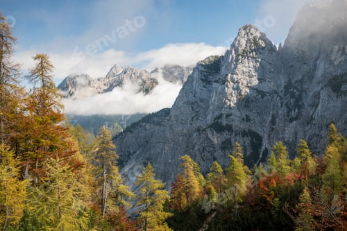 Preview: Misty mountain peaks emerging above vibrant autumn foliage
