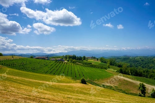 Preview: Landscape of Langhe, Piedmont, Italy near Dogliani at May
