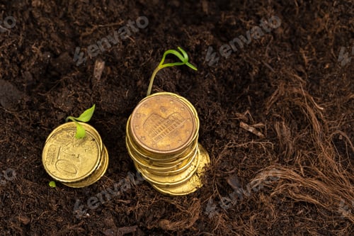 Preview: Euro coins and plant sprouts, financial growth concept