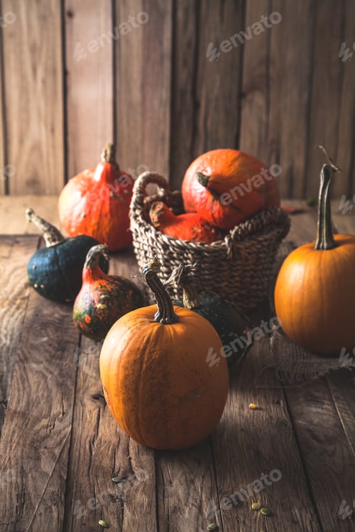 Preview: Pumpkins