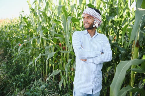 Preview: Young indian agronomist at corn field