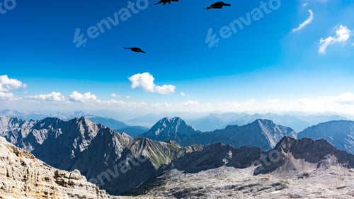 Preview: Birds flying over the scenic Zugspitze peak in Germany on a cloudy day