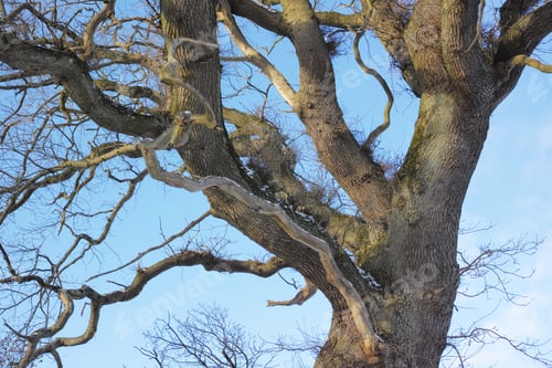 Preview: Wintertime in Denmark