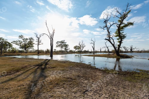 Preview: A narrow waterway in the open space of the Okavango Delta.