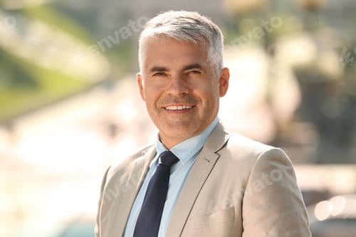 Preview: Portrait of smiling handsome businessman in city