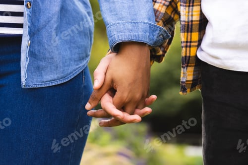Preview: Midsection of diverse couple holding hands, walking in garden