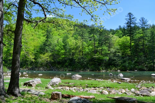 Preview: Beautiful trees and rocks next to a river in the mountains of Virginia