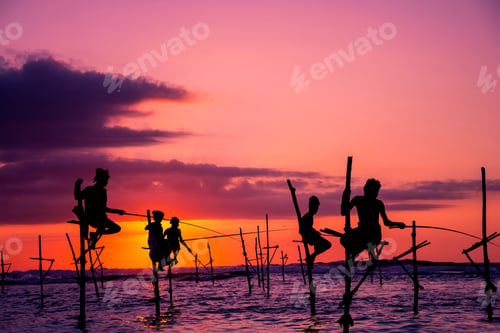 Preview: Traditional stilt fisherman in Sri Lanka