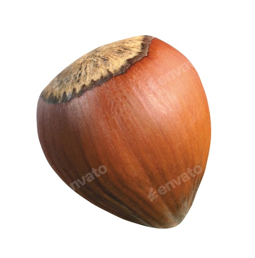 Preview: Hazelnut isolated on white