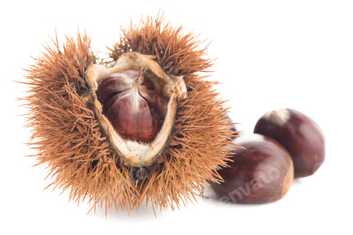 Preview: Chestnuts with shell