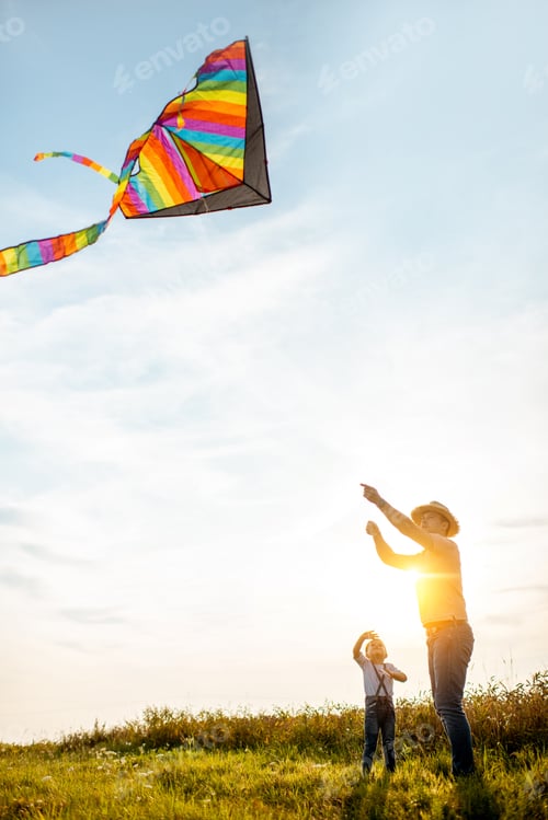 Preview: Father and son with air kite in the field