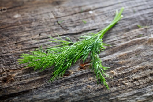 Preview: Branch of fresh green dill set on old wooden surface