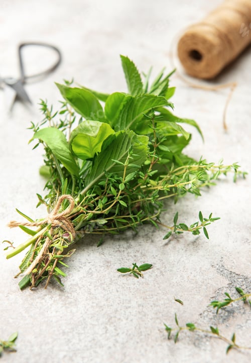 Preview: Freshly picked herbs tied with twine on kitchen counter