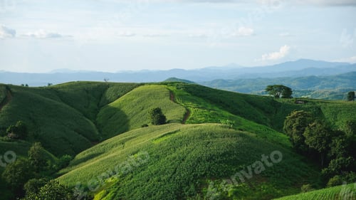 Preview: Mountains and corn field in Phrae, Thailand