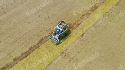 Preview: Fresh paddy rice, green agricultural field in countryside or rural area in Asia. Nature landscape.