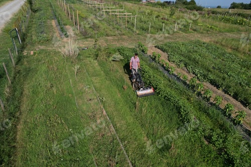 Preview: Farmer mowing grass with a tractor in his permaculture farm