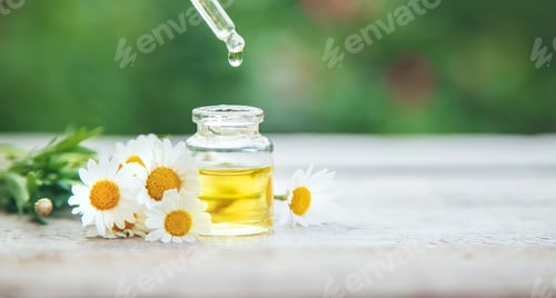 Preview: Chamomile essential oil in a small bottle. Selective focus.