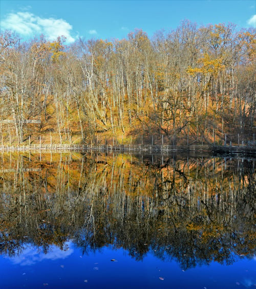 Preview: Beautiful reflection of the trees and the blue sky on a calm and tranquil lake