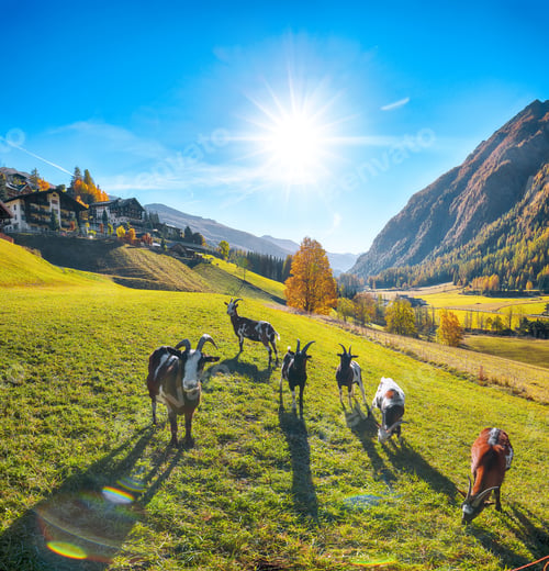 Preview: Breathtaking autumn landscape at Heiligenblut village near Grossglockner mount .