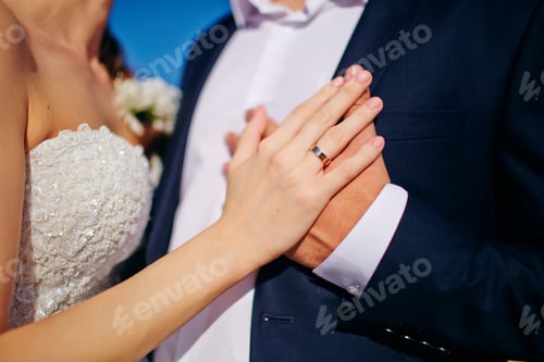Vista previa: La novia y el novio se abrazan