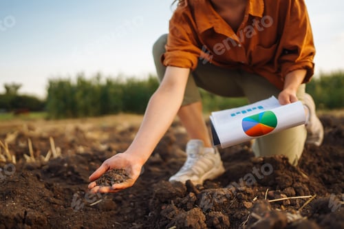 Preview: Female Hand of expert farmer collect soil and checking soil health before growth a seed of vegetable