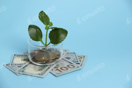 Preview: Glass jar with sprout, dollars and coins on light blue background, space for text