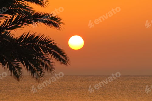 Preview: Mesmerizing scenery of a sunset over the beach with palm trees
