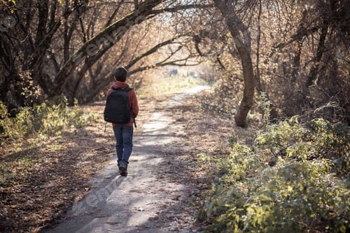 Preview: Teenager boy with backpack walking on path in autumn, rear view. Active lifestyle. Back to school