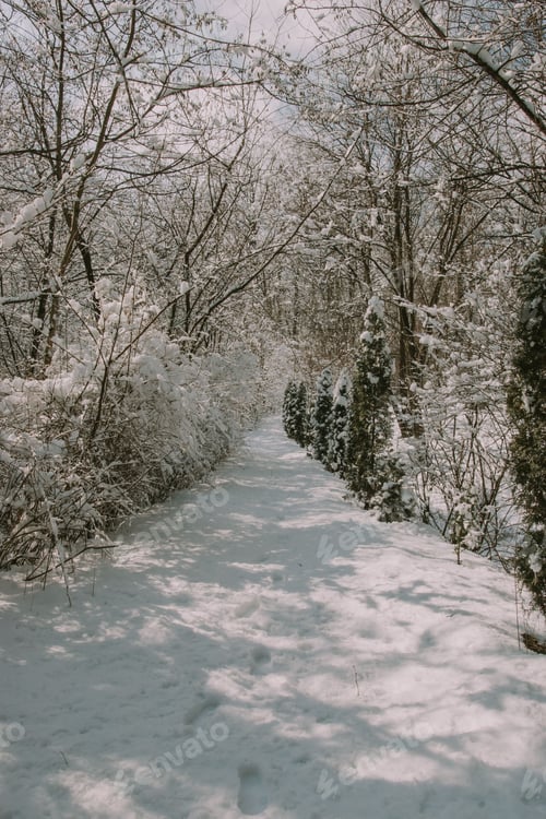 Preview: Winter wonderland in a rural village